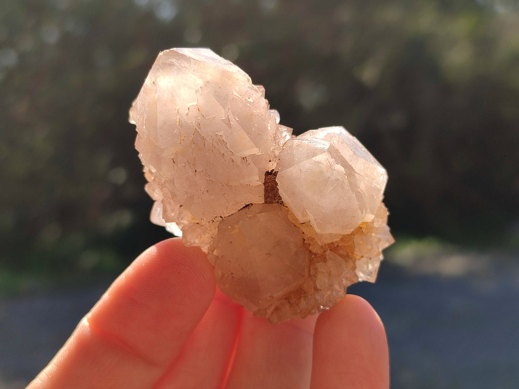 Natural Mix of Spirit Quartz Clusters x 35 From Boekenhouthoek, South Africa - Toprock Gemstones and Minerals 