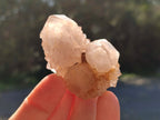 Natural Mix of Spirit Quartz Clusters x 35 From Boekenhouthoek, South Africa - Toprock Gemstones and Minerals 