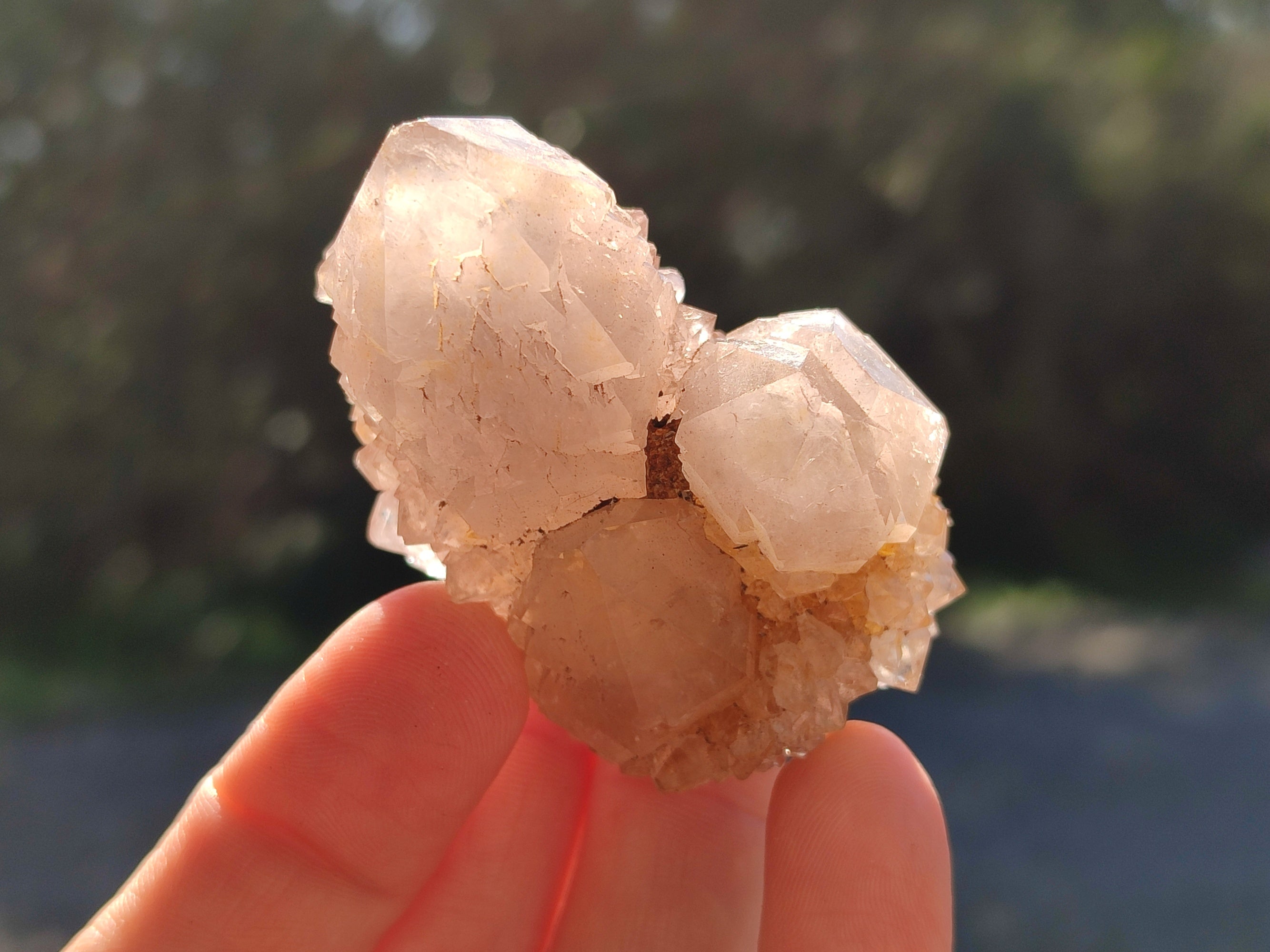 Natural Mix of Spirit Quartz Clusters x 35 From Boekenhouthoek, South Africa - Toprock Gemstones and Minerals 