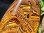Polished Golden Tiger's Eye Standing Free Forms x 2 From Prieska, South Africa - Toprock Gemstones and Minerals 