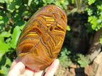 Polished Golden Tiger's Eye Standing Free Forms x 2 From Prieska, South Africa - Toprock Gemstones and Minerals 