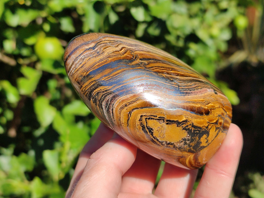 Polished Golden Tiger's Eye Standing Free Forms x 2 From Prieska, South Africa - Toprock Gemstones and Minerals 