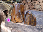 Polished Golden Tiger's Eye Standing Free Forms x 2 From Prieska, South Africa - Toprock Gemstones and Minerals 