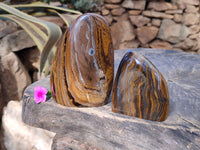 Polished Golden Tiger's Eye Standing Free Forms x 2 From Prieska, South Africa - Toprock Gemstones and Minerals 