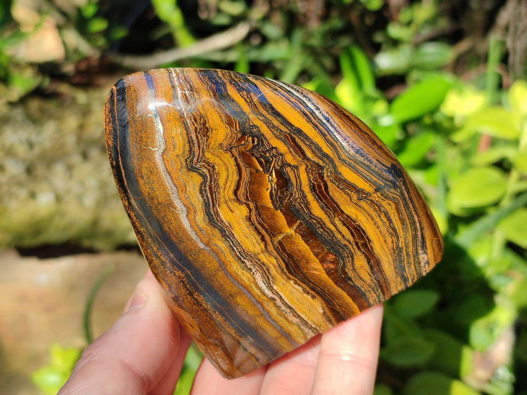 Polished Golden Tiger's Eye Standing Free Forms x 2 From Prieska, South Africa - Toprock Gemstones and Minerals 