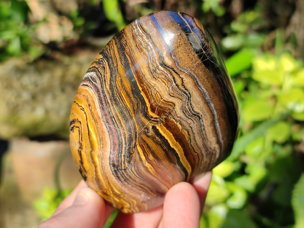 Polished Golden Tiger's Eye Standing Free Forms x 2 From Prieska, South Africa - Toprock Gemstones and Minerals 
