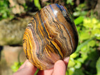 Polished Golden Tiger's Eye Standing Free Forms x 2 From Prieska, South Africa - Toprock Gemstones and Minerals 