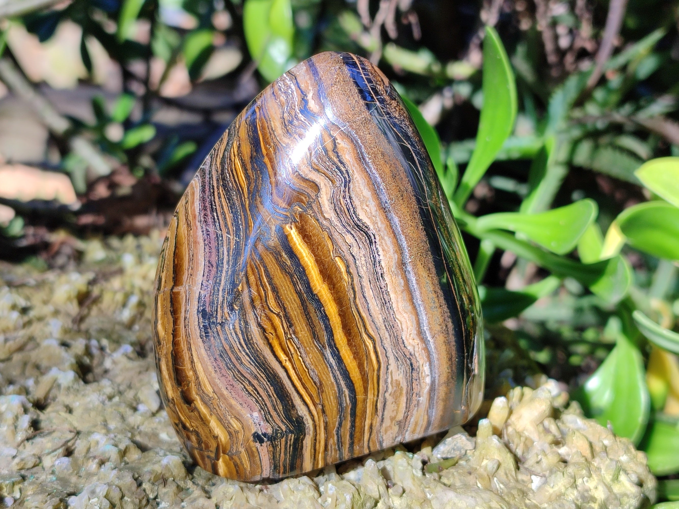 Polished Golden Tiger's Eye Standing Free Forms x 2 From Prieska, South Africa - Toprock Gemstones and Minerals 