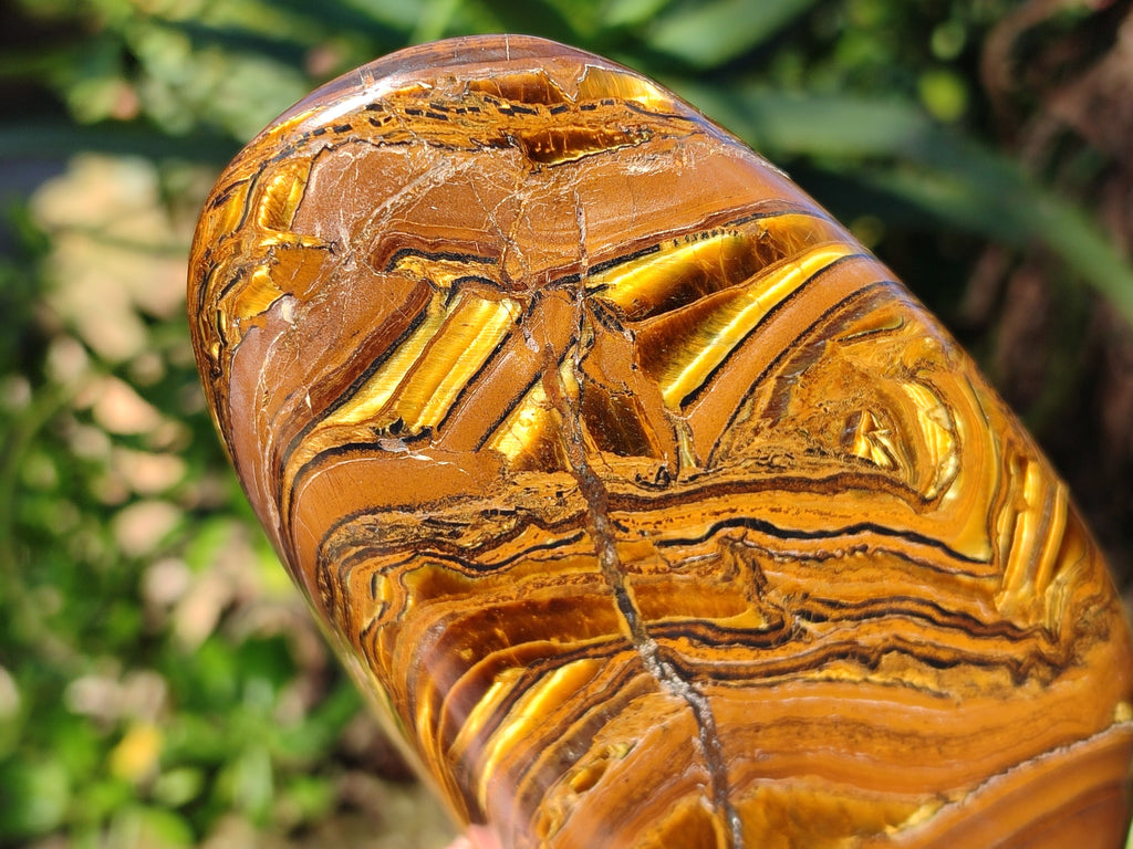 Polished Golden Tiger's Eye Standing Free Forms x 2 From Prieska, South Africa - Toprock Gemstones and Minerals 