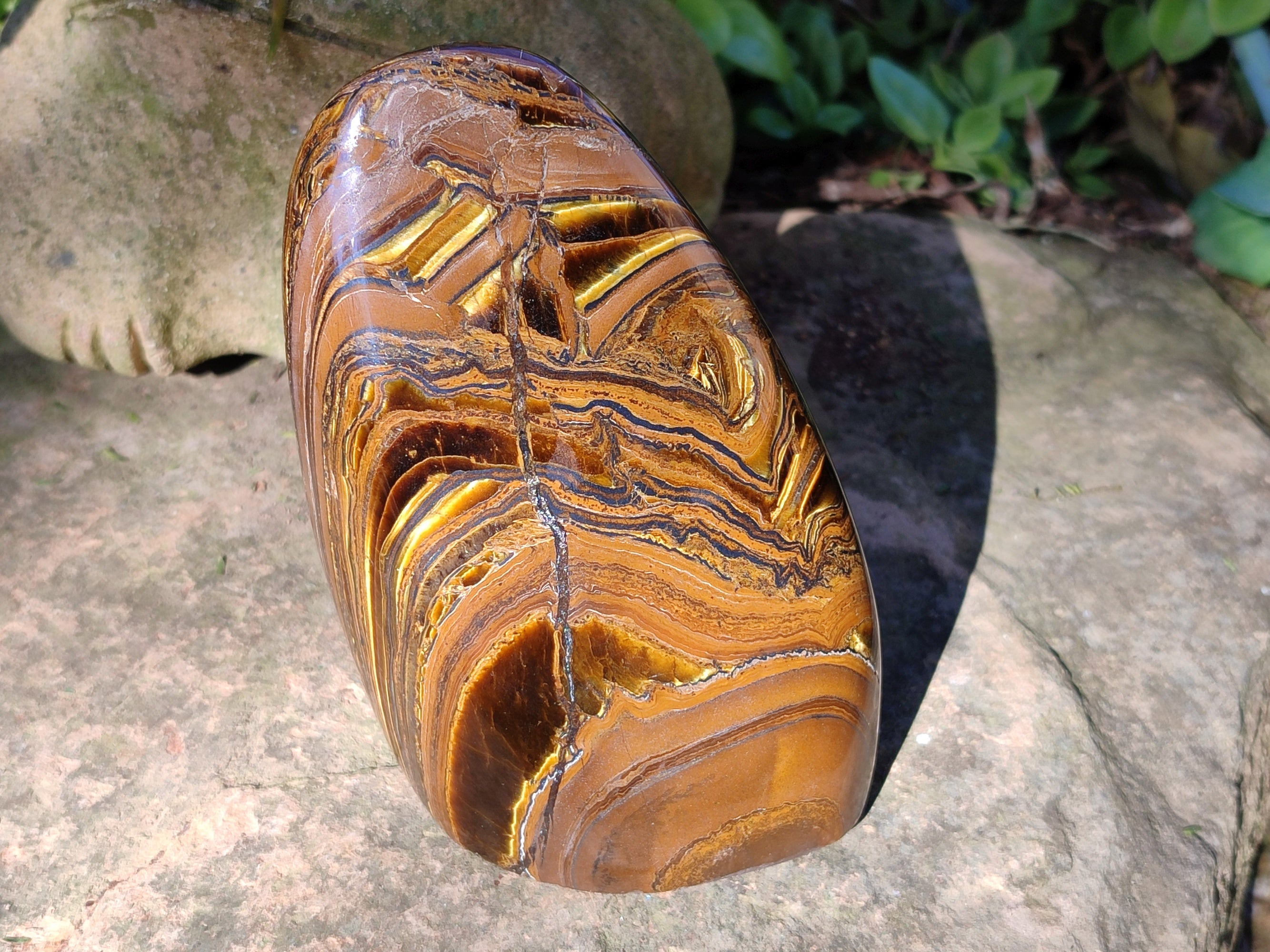 Polished Golden Tiger's Eye Standing Free Forms x 2 From Prieska, South Africa - Toprock Gemstones and Minerals 