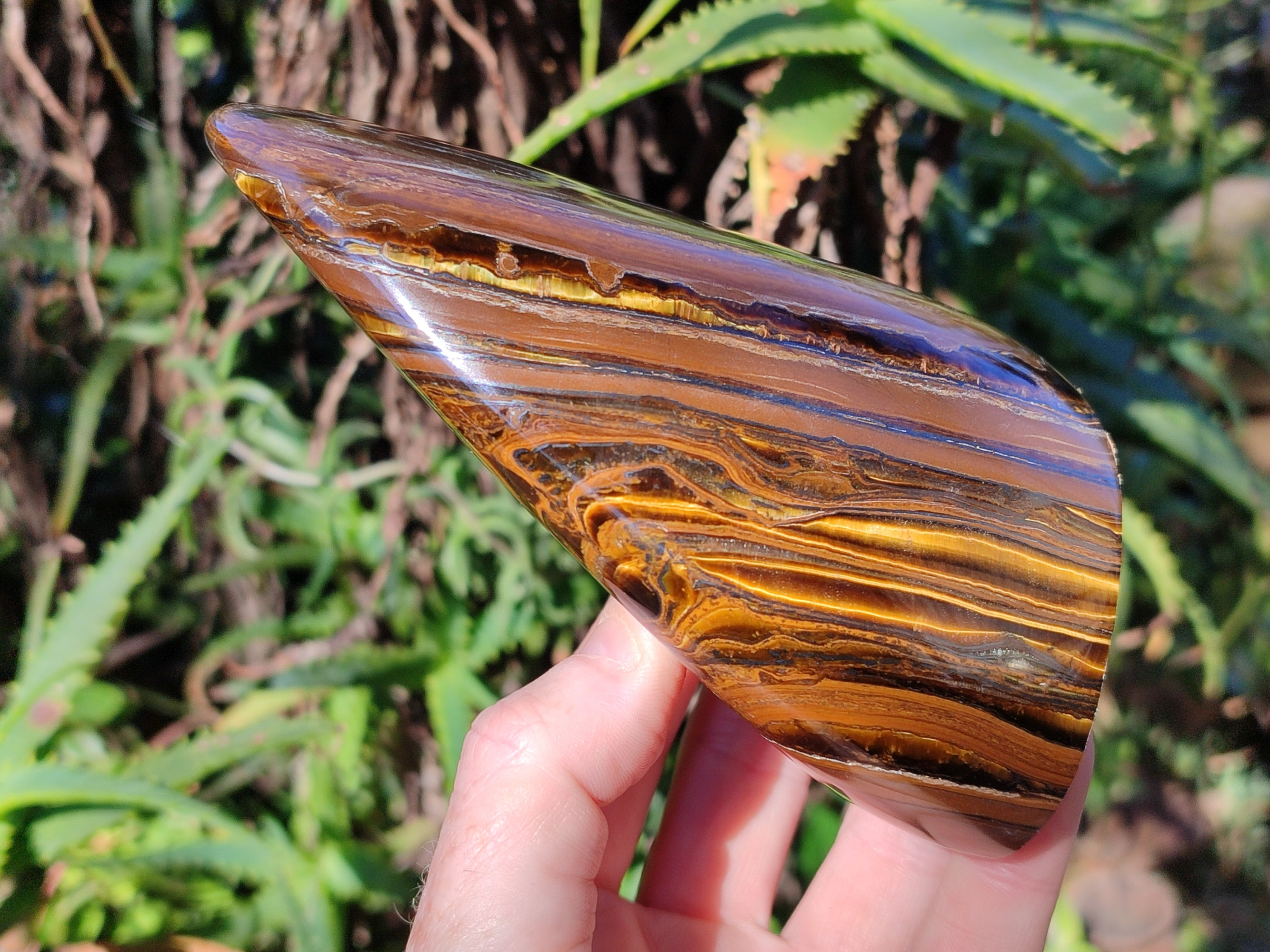Polished Golden Tiger's Eye Standing Free Forms x 2 From Prieska, South Africa - Toprock Gemstones and Minerals 