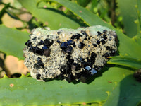 Natural Schorl Tourmaline with Hyalite Opal and Smoky Quartz x 5 From Erongo, Namibia - Toprock Gemstones and Minerals 