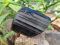 Natural Schorl Tourmaline with Hyalite Opal and Smoky Quartz x 5 From Erongo, Namibia - Toprock Gemstones and Minerals 
