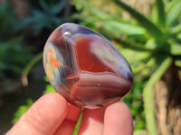 Polished Red Sashe River Agate Free Forms x 24 From Zimbabwe - Toprock Gemstones and Minerals 