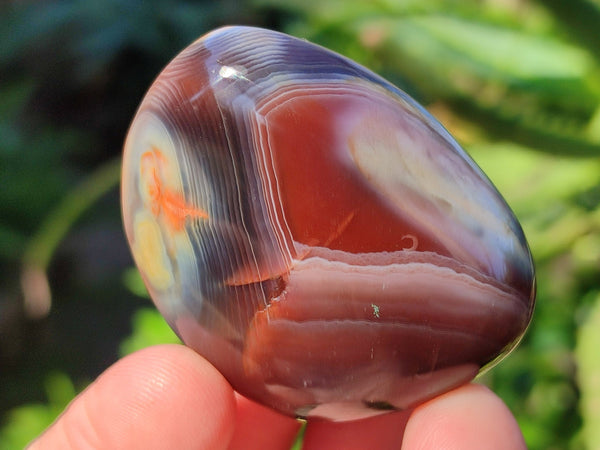 Polished Red Sashe River Agate Free Forms x 24 From Zimbabwe - Toprock Gemstones and Minerals 