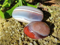 Polished Red Sashe River Agate Free Forms x 24 From Zimbabwe - Toprock Gemstones and Minerals 