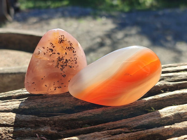 Polished Red Sashe River Agate Free Forms x 24 From Zimbabwe - Toprock Gemstones and Minerals 