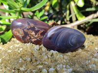 Polished Red Sashe River Agate Free Forms x 24 From Zimbabwe - Toprock Gemstones and Minerals 