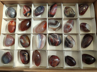 Polished Red Sashe River Agate Free Forms x 24 From Zimbabwe - Toprock Gemstones and Minerals 