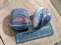 Polished Red Sashe River Agate Free Forms x 24 From Zimbabwe - Toprock Gemstones and Minerals 