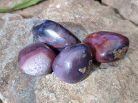 Polished Red Sashe River Agate Free Forms x 24 From Zimbabwe - Toprock Gemstones and Minerals 