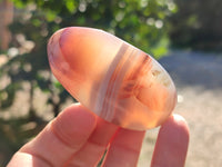 Polished Red Sashe River Agate Free Forms x 24 From Zimbabwe - Toprock Gemstones and Minerals 