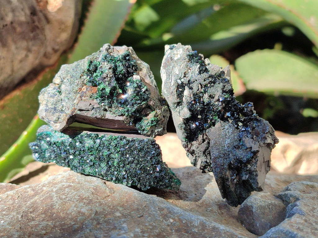 Natural Libethenite Crystals On Dolomite Matrix Specimens x 12 From Shituru, Congo - Toprock Gemstones and Minerals 