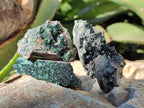 Natural Libethenite Crystals On Dolomite Matrix Specimens x 12 From Shituru, Congo - Toprock Gemstones and Minerals 