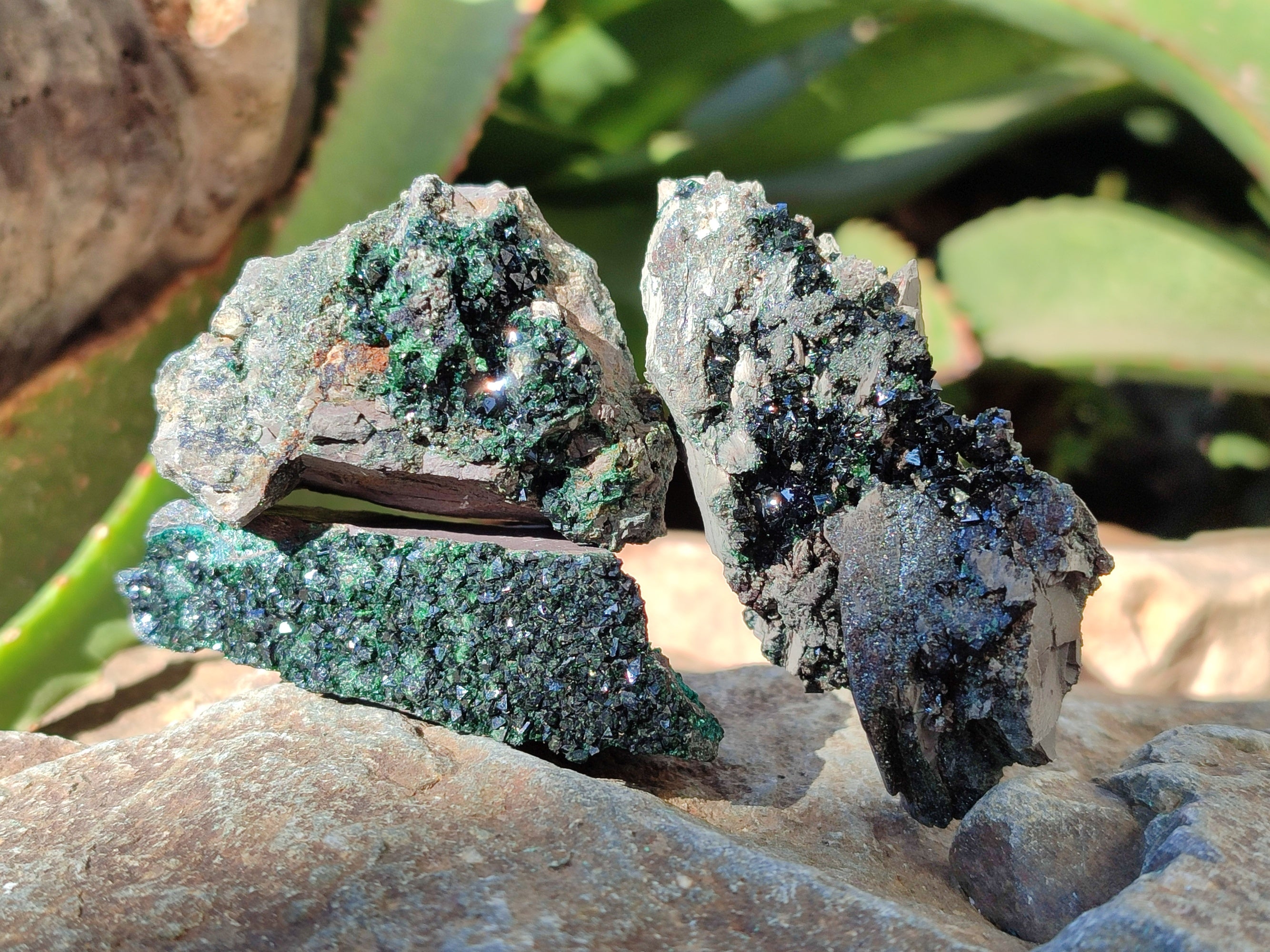 Natural Libethenite Crystals On Dolomite Matrix Specimens x 12 From Shituru, Congo - Toprock Gemstones and Minerals 