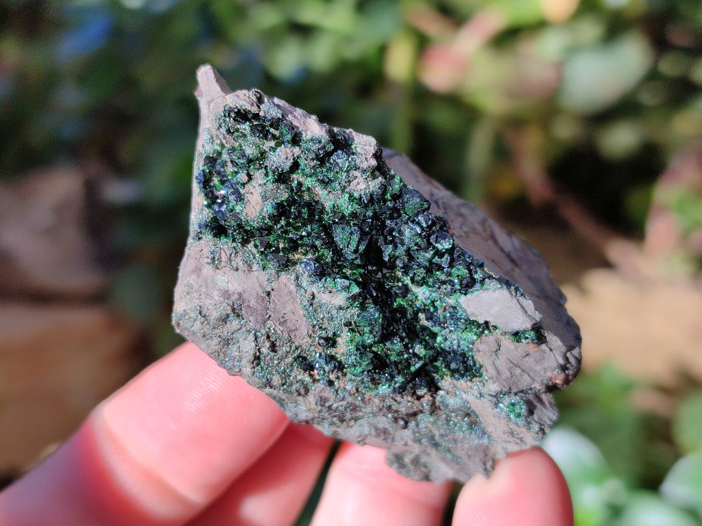 Natural Libethenite Crystals On Dolomite Matrix Specimens x 12 From Shituru, Congo - Toprock Gemstones and Minerals 