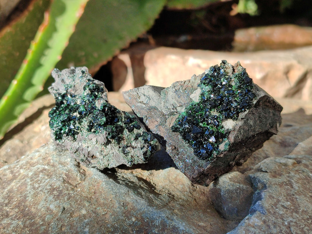 Natural Libethenite Crystals On Dolomite Matrix Specimens x 12 From Shituru, Congo - Toprock Gemstones and Minerals 