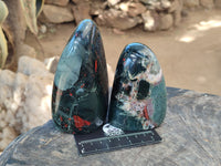 Polished Bloodstone Standing Free Forms x 2 From Swaziland