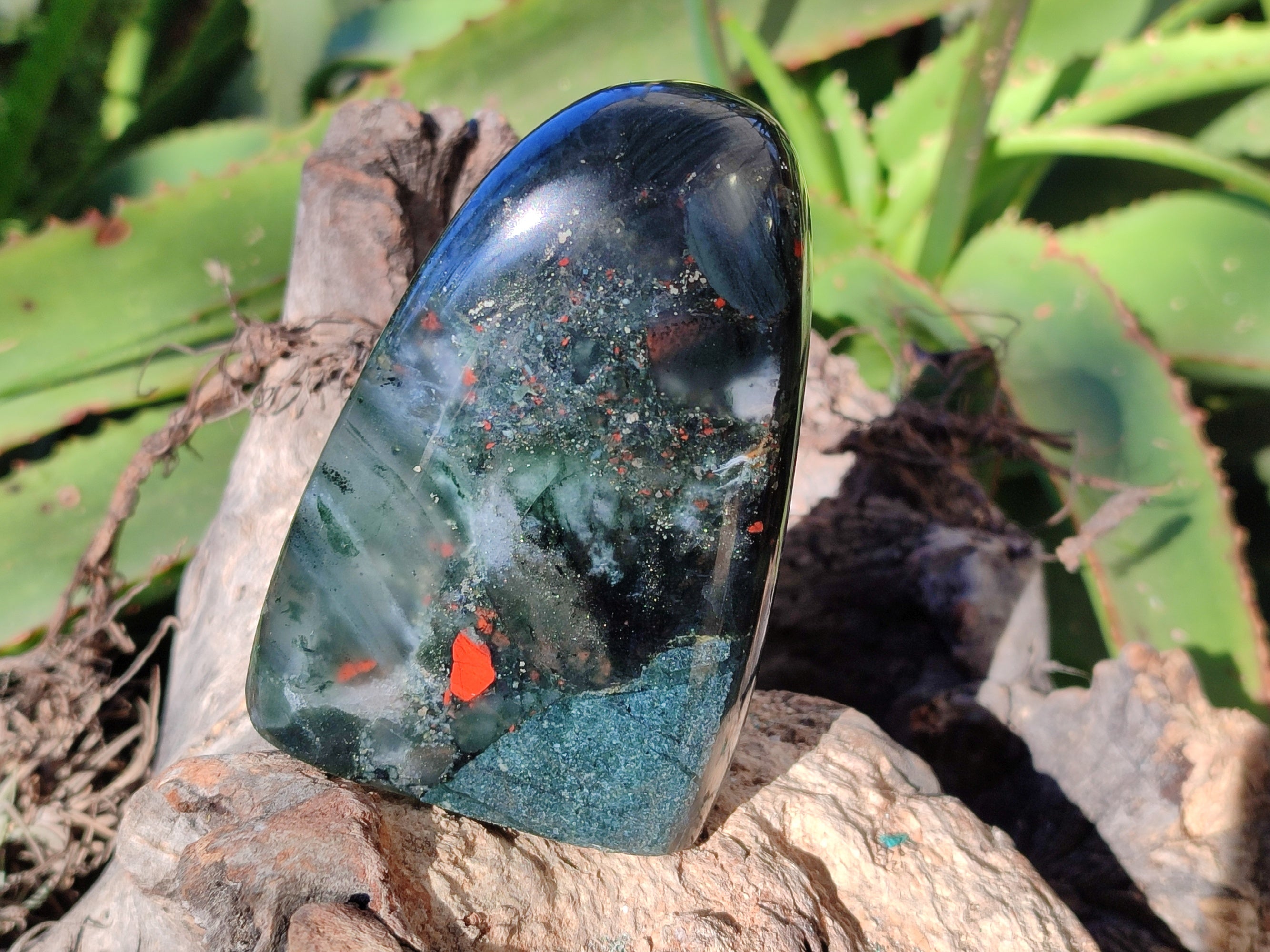 Polished Bloodstone Standing Free Forms x 2 From Swaziland - Toprock Gemstones and Minerals 