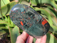 Polished Bloodstone Standing Free Forms x 2 From Swaziland