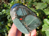 Polished Bloodstone Standing Free Forms x 2 From Swaziland