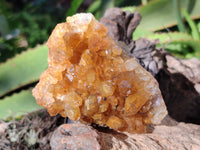 Natural Limonite Quartz Clusters x 6 From Solwezi, Zambia - Toprock Gemstones and Minerals 