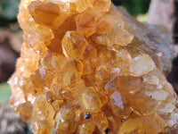 Natural Limonite Quartz Clusters x 6 From Solwezi, Zambia - Toprock Gemstones and Minerals 
