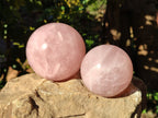 Polished Rose Quartz Spheres x 3 From Ambatondrazaka, Madagascar - Toprock Gemstones and Minerals 