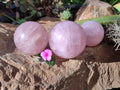 Polished Rose Quartz Spheres x 3 From Ambatondrazaka, Madagascar - Toprock Gemstones and Minerals 