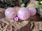 Polished Rose Quartz Spheres x 3 From Ambatondrazaka, Madagascar - Toprock Gemstones and Minerals 