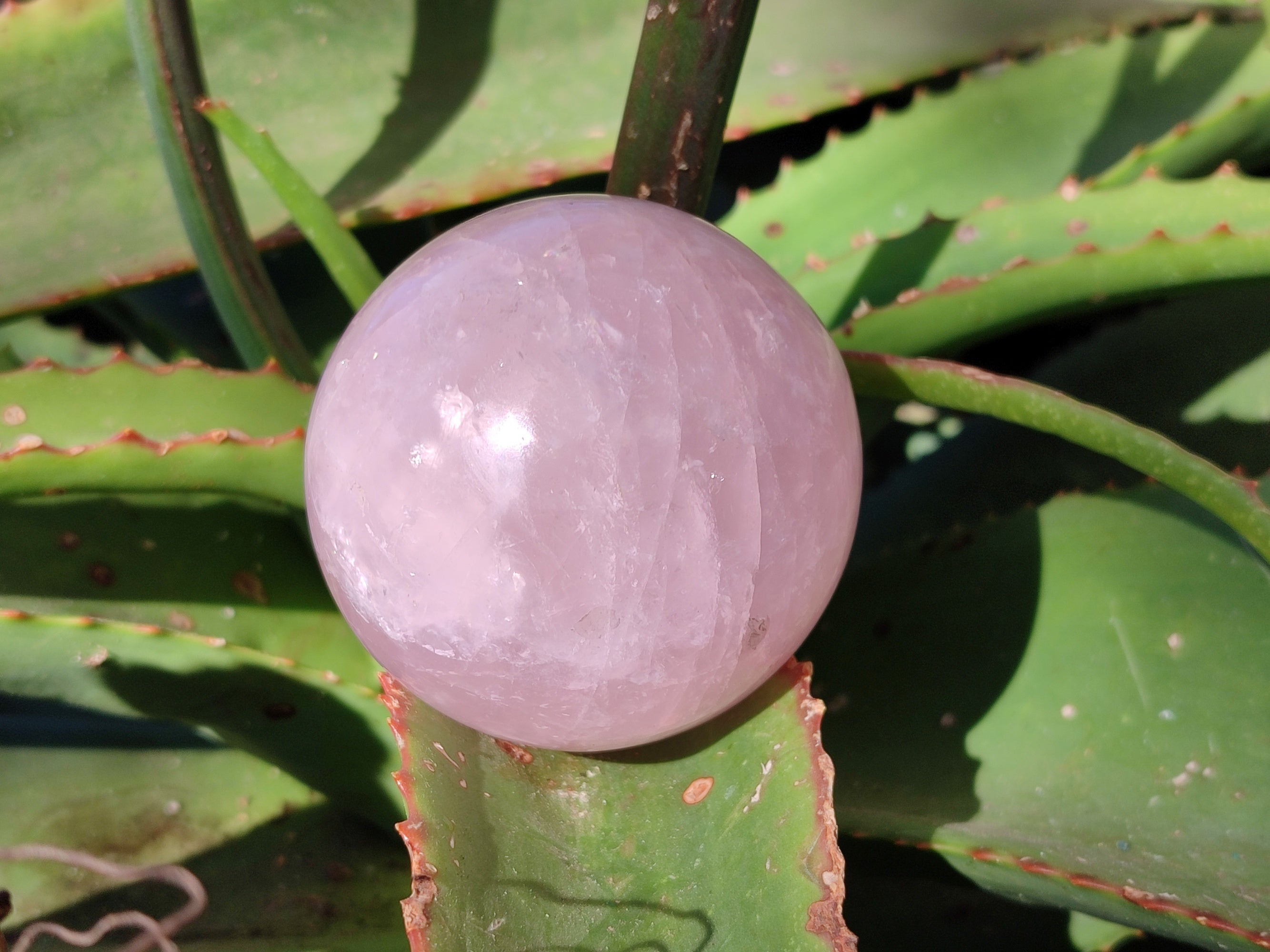 Polished Rose Quartz Spheres x 3 From Ambatondrazaka, Madagascar - Toprock Gemstones and Minerals 