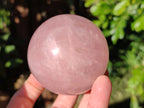 Polished Rose Quartz Spheres x 3 From Ambatondrazaka, Madagascar - Toprock Gemstones and Minerals 