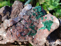 Natural Ball Malachite On Dolomite Matrix Specimens x 1 From Kambove, Congo