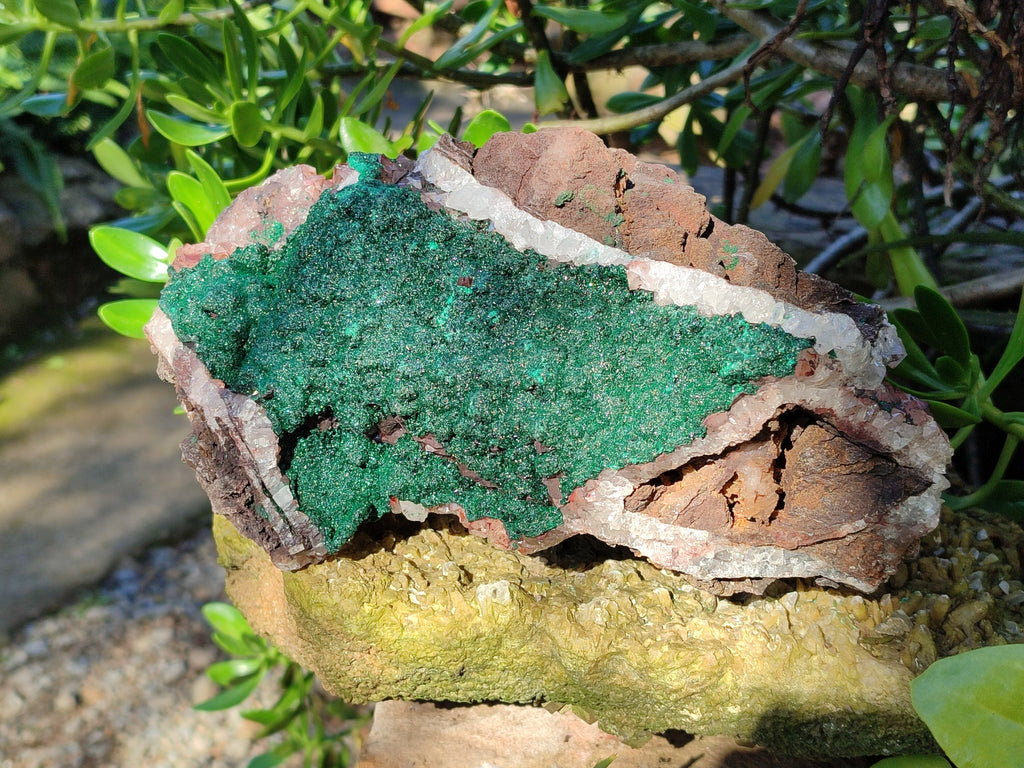 Natural Ball Malachite On Dolomite Matrix Specimens x 1 From Kambove, Congo - Toprock Gemstones and Minerals 