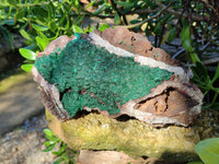 Natural Ball Malachite On Dolomite Matrix Specimens x 1 From Kambove, Congo