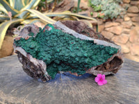 Natural Ball Malachite On Dolomite Matrix Specimens x 1 From Kambove, Congo