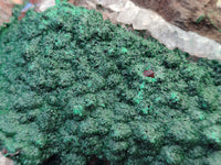 Natural Ball Malachite On Dolomite Matrix Specimens x 1 From Kambove, Congo
