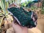 Natural Ball Malachite On Dolomite Matrix Specimens x 1 From Kambove, Congo - Toprock Gemstones and Minerals 