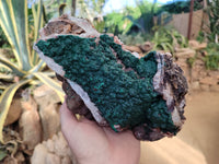 Natural Ball Malachite On Dolomite Matrix Specimens x 1 From Kambove, Congo