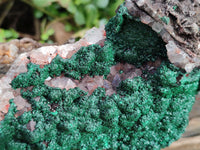 Natural Ball Malachite On Dolomite Matrix Specimens x 1 From Kambove, Congo